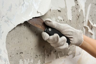 Wallpaper Stripping